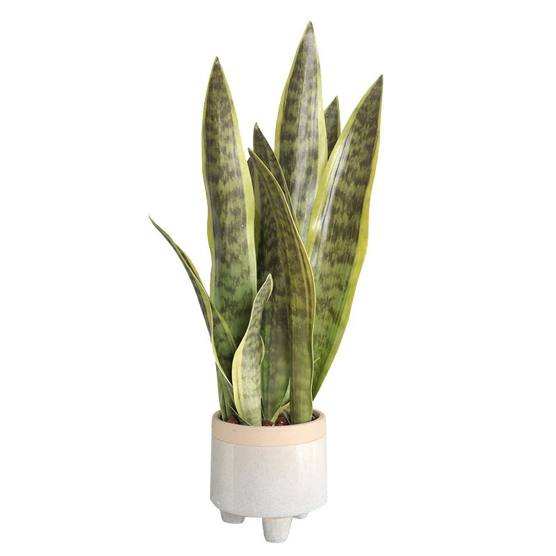 Artificial Succulent Plants
