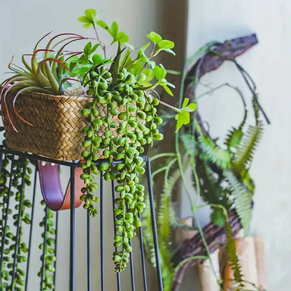 Artificial String of Pearls