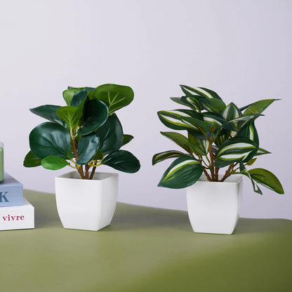 Cute Artificial Plants
