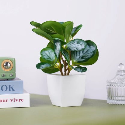 Cute Artificial Plants