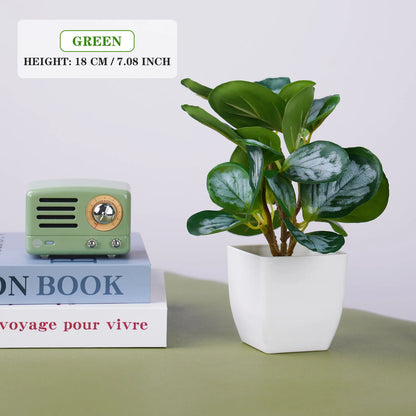 Cute Artificial Plants